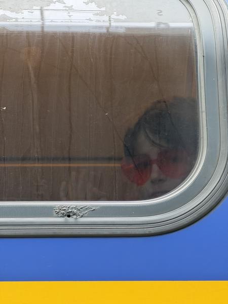 A person wearing red sunglasses is seen through a train window